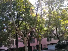 全新奢华装修奢华配置五房南北大花园