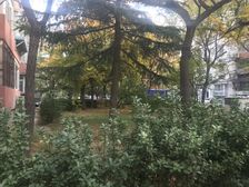 北辛安·丁香苑·3室·2厅