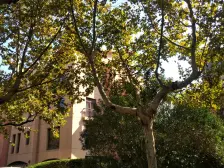 全新奢华装修奢华配置五房南北大花园