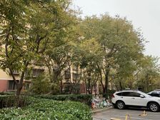 正阳小区3室1厅东北