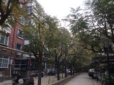 尖岭小区内平房带独立的小院独立的门水电暖齐全