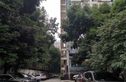 樱花假日实景图