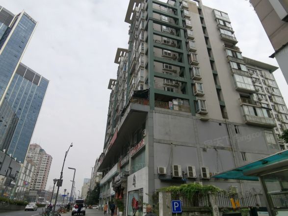 樱花假日实景图