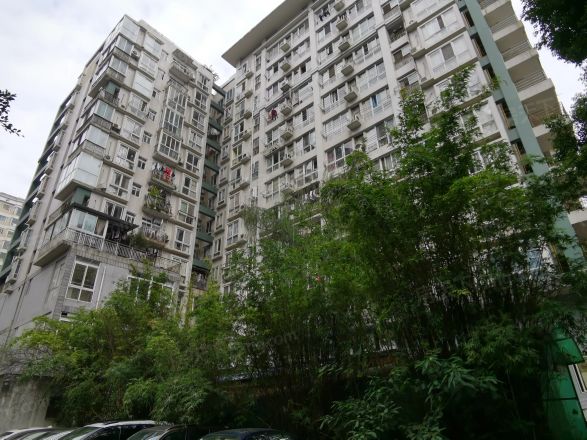 樱花假日实景图
