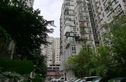 樱花假日实景图