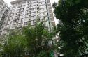 樱花假日实景图