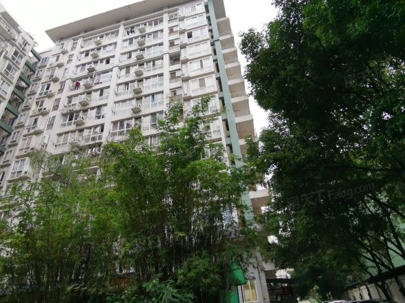 樱花假日实景图