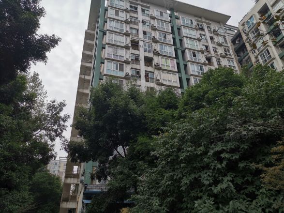 樱花假日实景图