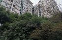 樱花假日实景图