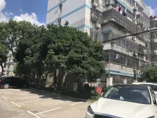 六楼复七楼,阁楼有70平,川中+华西,精装南北通,拎包入住