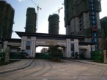 小区西大门周围实景