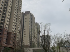 近西站,精装三房,全新装修,看中庭,视野好