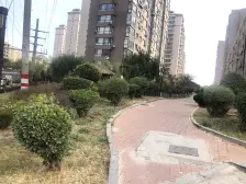 华南商圈,带阳台,宽客厅,不临街,采光充足