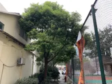 人民大楼 3室1厅 南