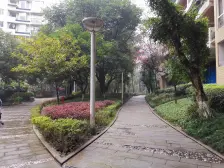 凤天路园林式小区,小高层顶跃,出行方便