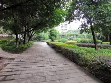 环线旁 正规三房 带入户花园