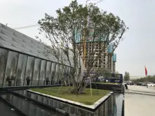 全屋定制 带阁楼 看房方便 房主没住几天 南北通厅