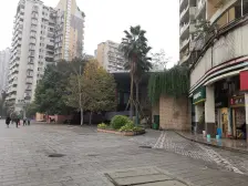 天骄年华 3室2厅 东南