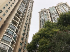 花木·新领地·1室·1厅