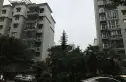 迎宾花园实景图