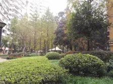 沙坪坝 天骄年华小洋房3室户型 一梯两户 板式结构