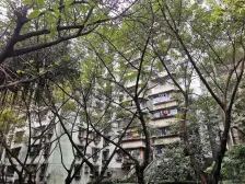 南坪 玛瑙花园三房55万