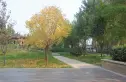 鹿城一号实景图