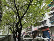 南坪商圈 大三房 近轻轨公交站 拎包入住 采光好