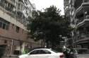 迎宾花园实景图