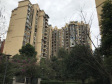 新城国际 2室1厅 西南