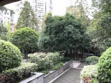万达广场旁 嘉茵苑 正规三房双卫 住家装修 拎包入住