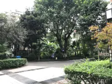 证在手,四房带露台,是顶跃带花园!