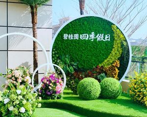 碧桂园电梯高层,视野开阔,毛坯随意装修