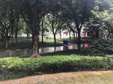 二郎 朵力尚美国际二房56万