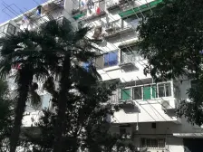 新上,正规一房,诚意出售,采光强,阳台敞亮