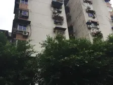 双轻轨+出让地+近商圈+安心卖