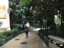 南坪商圈,近轻轨,精装修,户型方正,采光好。