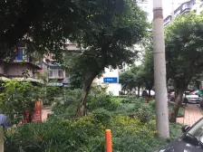 总监力推+南坪商圈+shanhu+通电梯+有钥匙