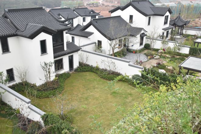 春风长住实景图