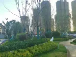 售楼处西园林