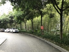 房满2年,税费低,小区成熟环境好,近嘉陵步行街