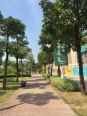 小区内在建学校实景图