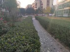 佳运园一期满五年唯一商品房南北通透业主诚心出售