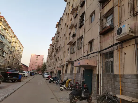 桃李园实景图