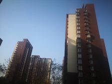 金顶阳光2室1厅南北