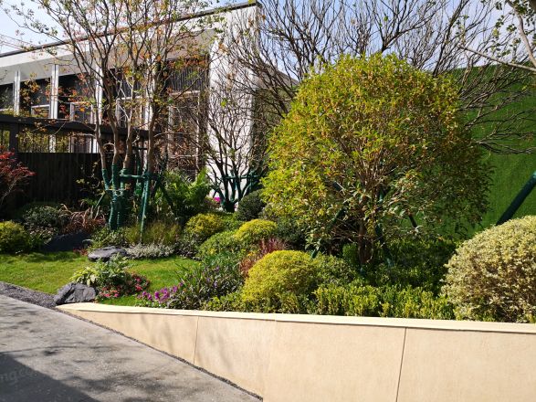 龙湖春江悦茗实景图