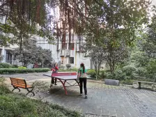 浦辉海棠晓月E区 1室1厅 东