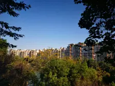 一碗水 春天花园四房180万