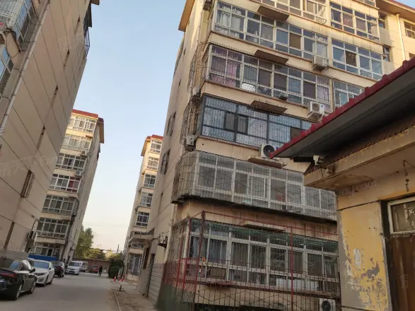 桃李园实景图