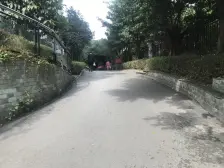 龙溪镇 依云雅筑四房100万